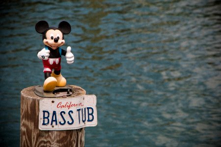 Bass Tub