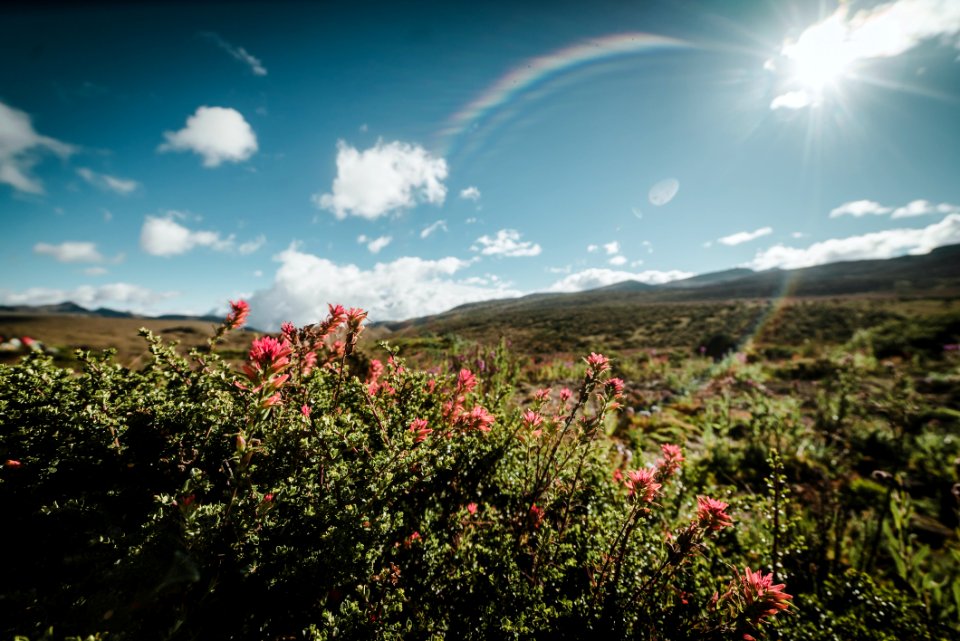 Parque Nacional Natural de los nevados - Laguna del Otun
