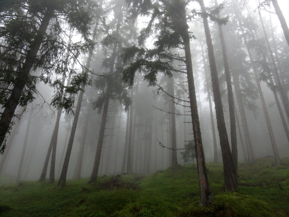 Colourless fog mood