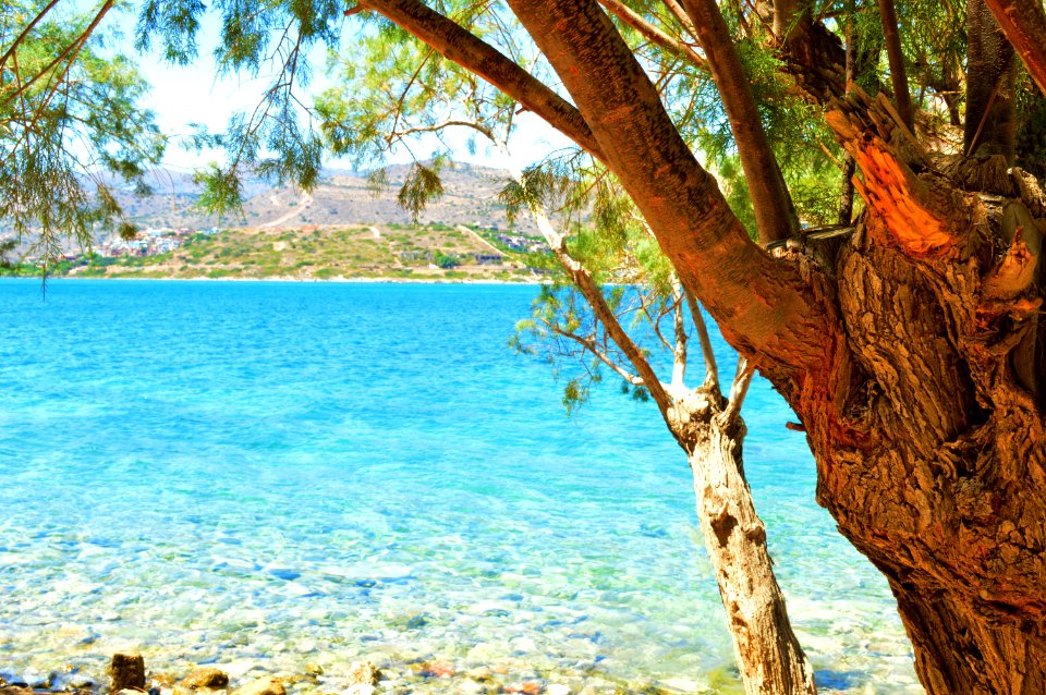 Paradise in a Nightmare - Spinalonga