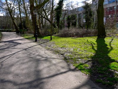 2016.03 - Amsterdam photo of shadows of trees in the Dutch park Oosterpark, in the light of Spring; urban nature in Amsterdam city - geotagged free picture, in public domain / Commons; Dutch photography, Fons Heijnsbroek, The Netherlands photo