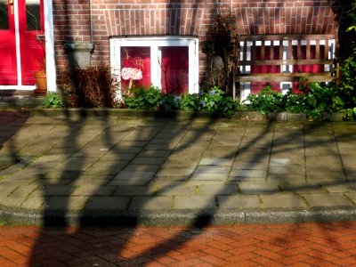 2013.04 - 'Photo of urban tree shadows in the sunlight of Spring', and basement-widows and colored street pavement on the Da Costakade - district Kinkerbuurt, Amsterdam Oud-West; - urban photography by Fons Heijnsbroek, The Netherlands photo