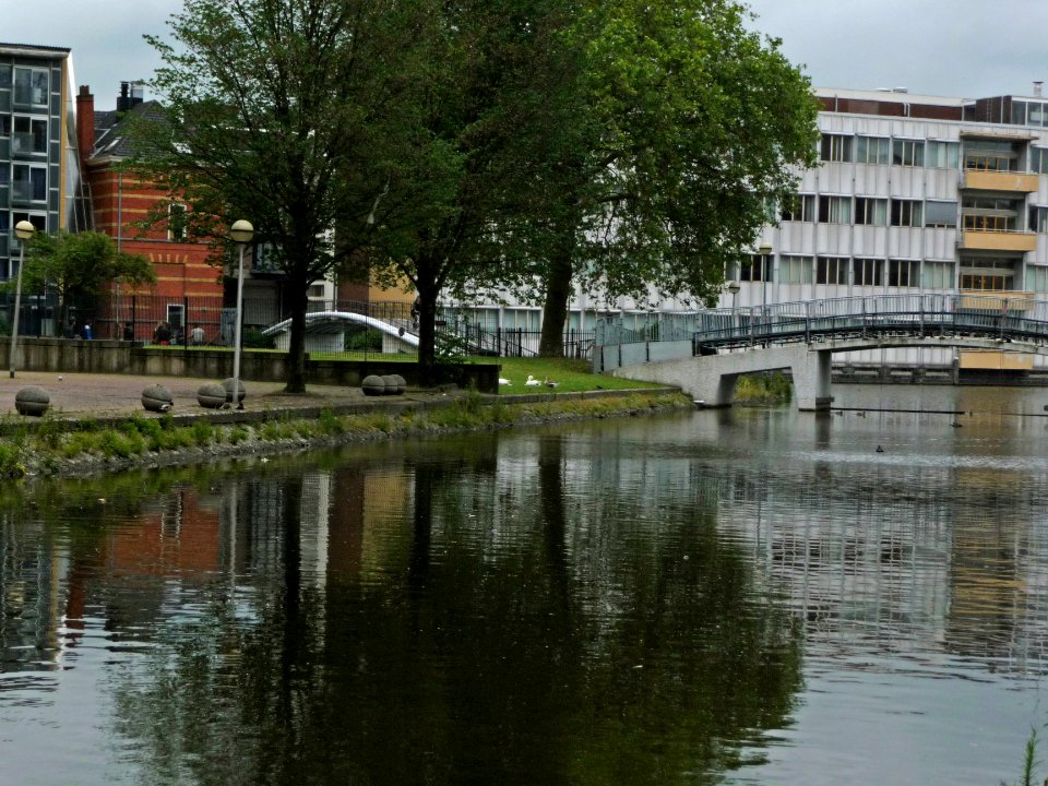 Urban trees with reflections along the canal water of Nieuwe Achtergracht, near university campus Roeterseiland in Amsterdam; urban photography of The Netherlands, Fons Heijnsbroek