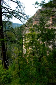 Little L.O. Trail No. 6