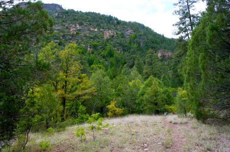 Little L.O. Trail No. 6