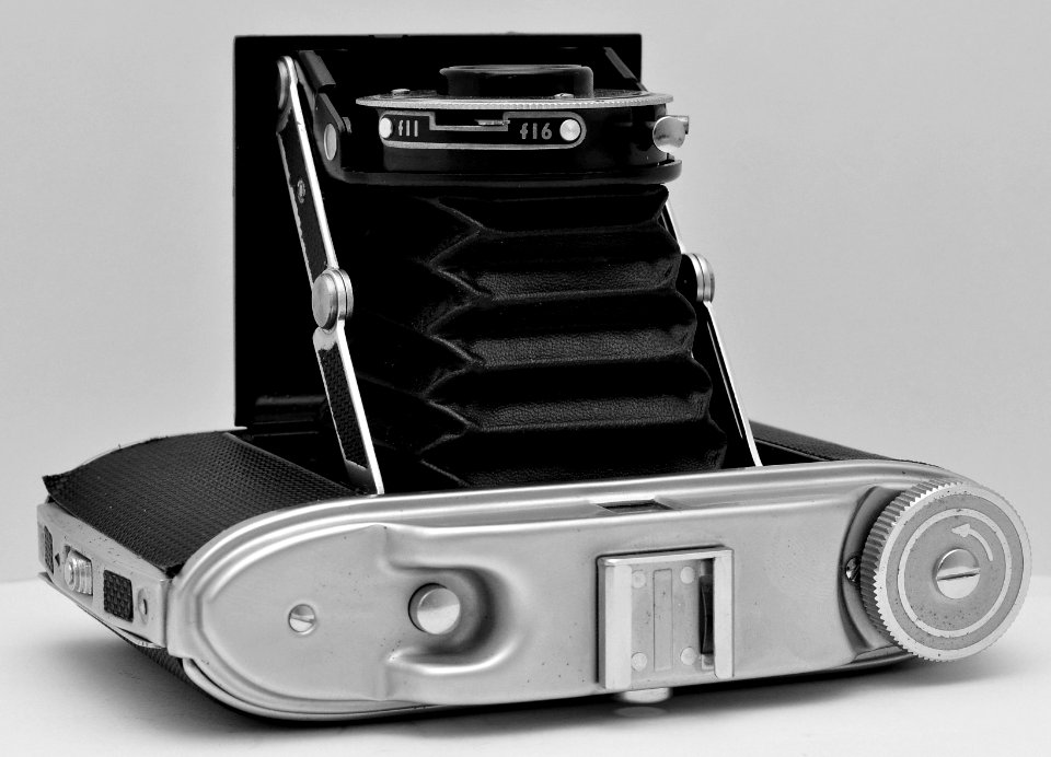 Kershaw 110 Top View