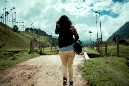 Salento Quindio - Valle del Cocora