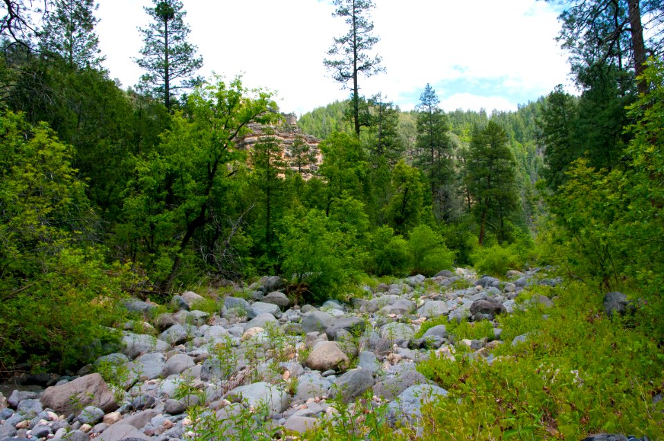 Little L.O. Trail No. 6