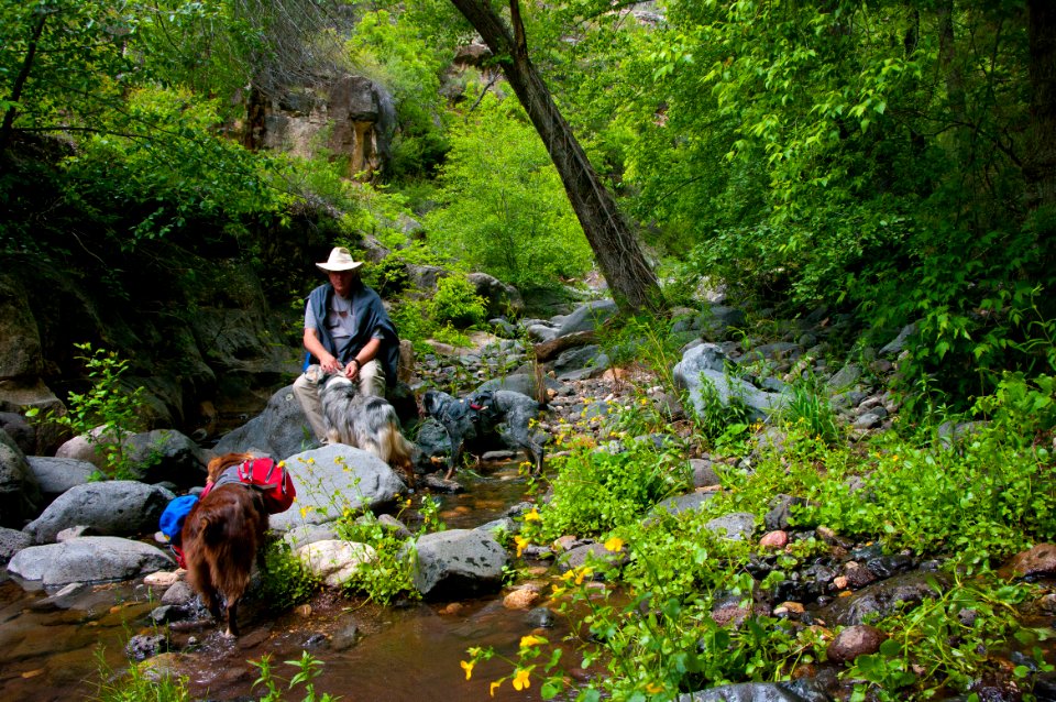 Little L.O. Trail No. 6