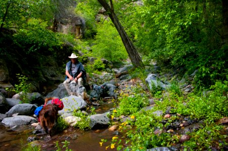 Little L.O. Trail No. 6