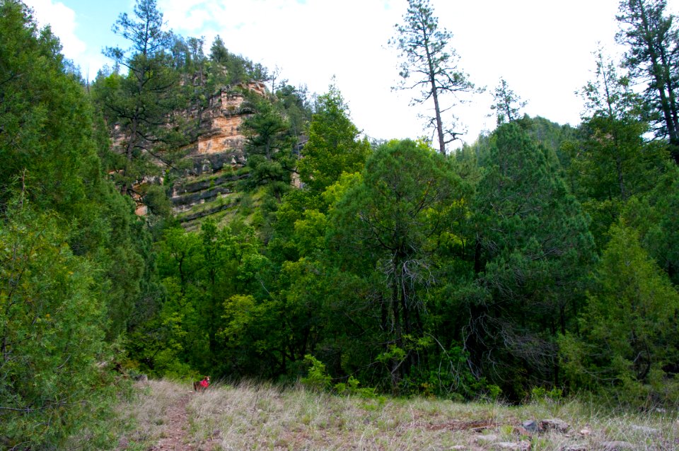 Little L.O. Trail No. 6