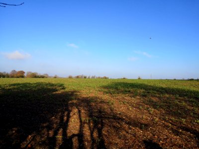 Footpath 743 looking to SHLAA 042
