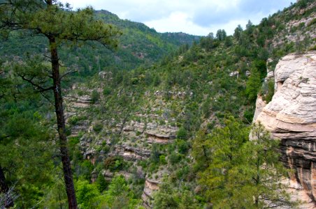 Little L.O. Trail No. 6