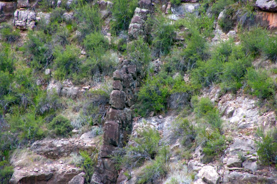 Little L.O. Trail No. 6