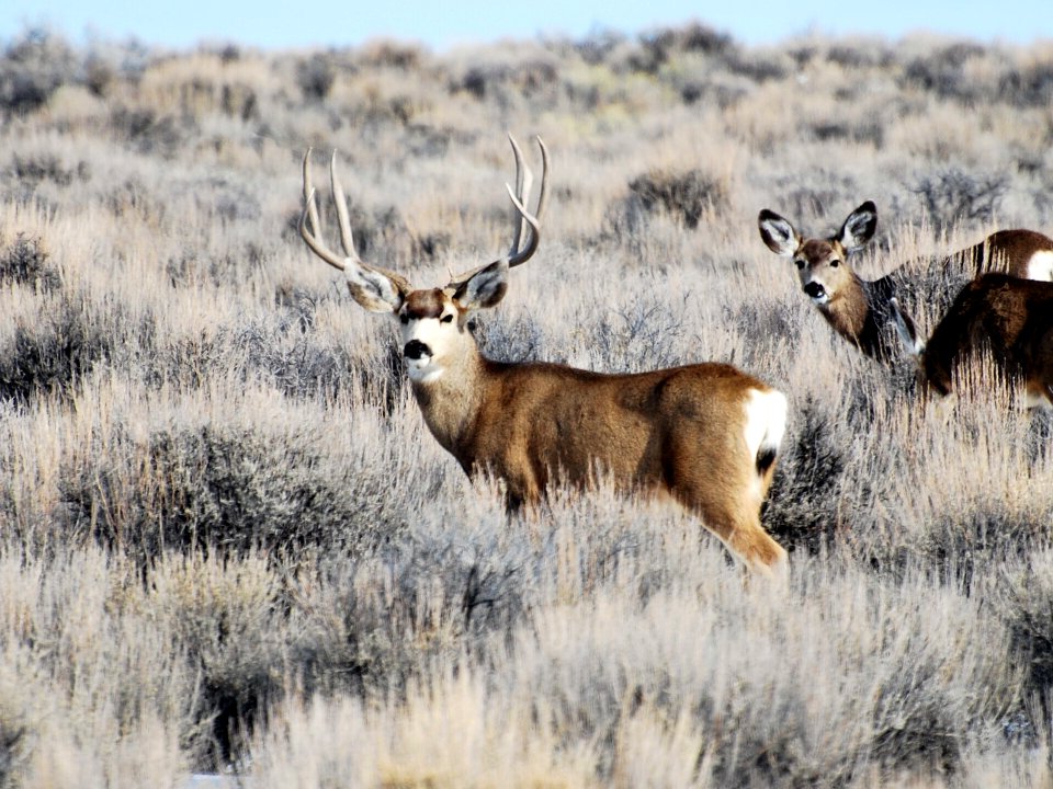 20180830-FS-Ashley NF-RM-Muley-06 CSC 0063