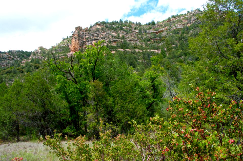 Little L.O. Trail No. 6