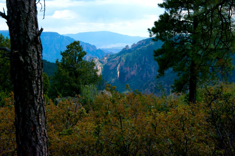 Kelsey Trail No. 3