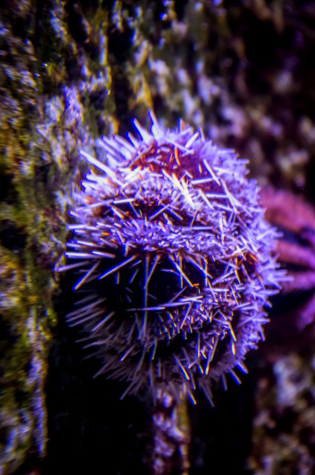 04082018-IMGP3864