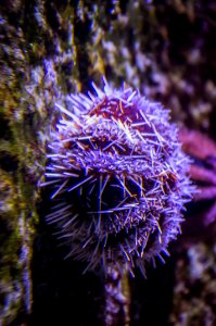 04082018-IMGP3864