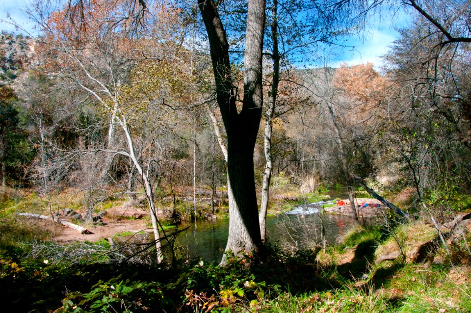 Fossil Springs Wilderness: Springs Area