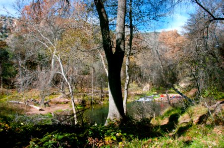 Fossil Springs Wilderness: Springs Area