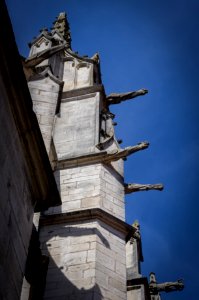12082018-IMGP3929