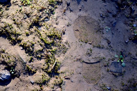 Bootprint. Going nowhere.