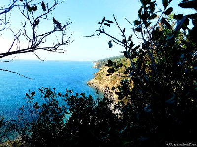 Marina di Salivoli