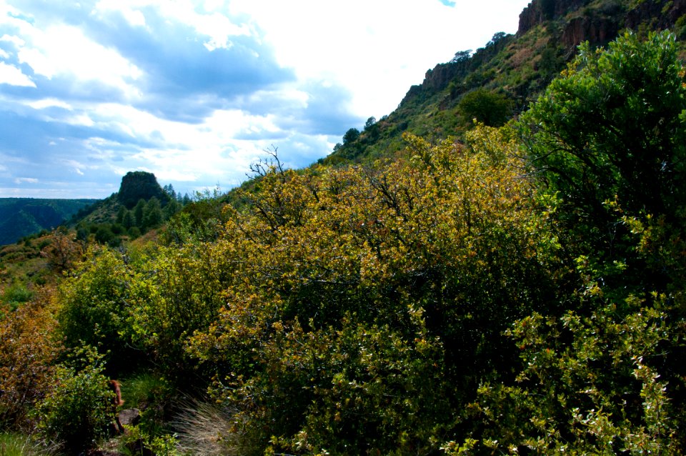 Kelsey Trail No. 3