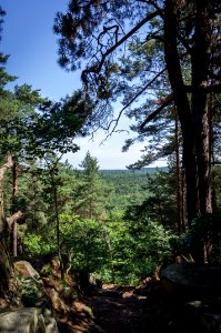 Fontainebleau - 2018/06/16