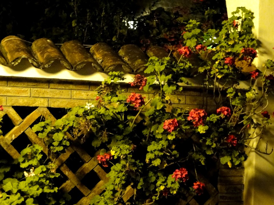 Una dianoche en Paraná