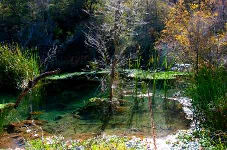Fossil Springs Wilderness: Springs Area