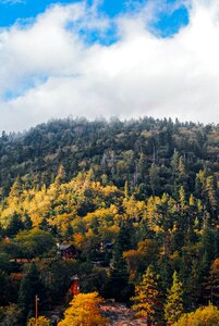Landscape nature autumn