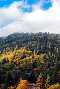 Landscape nature autumn photo