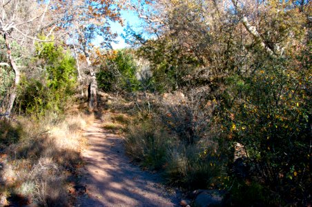 Flume Trail