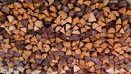 Growing stock log pile of wood