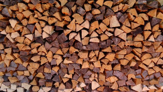 Growing stock log pile of wood photo