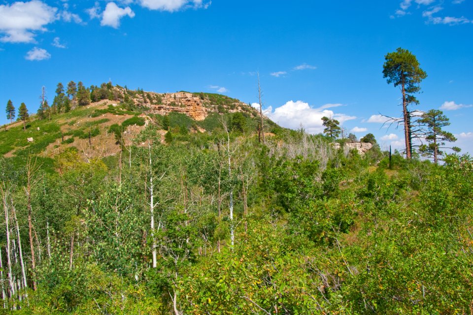 Saddle Mountain Trail