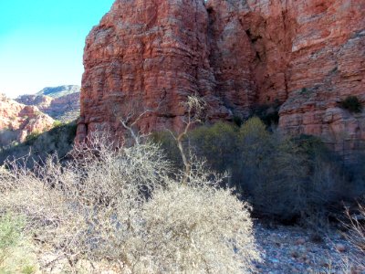 Parsons Trail photo