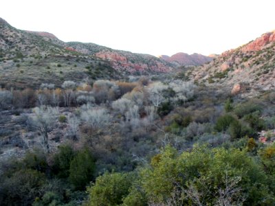 Parsons Trail