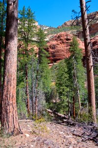 Secret Canyon Trail