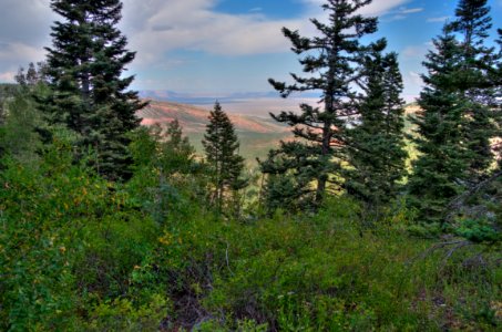 Kaibab Plateau Trail 101