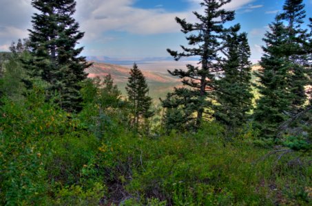 Kaibab Plateau Trail 101 photo