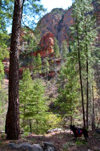 Secret Canyon Trail