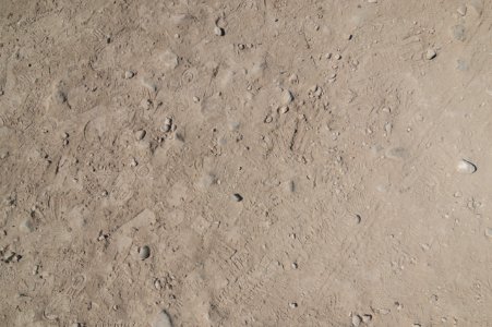 Sand shoe tracks