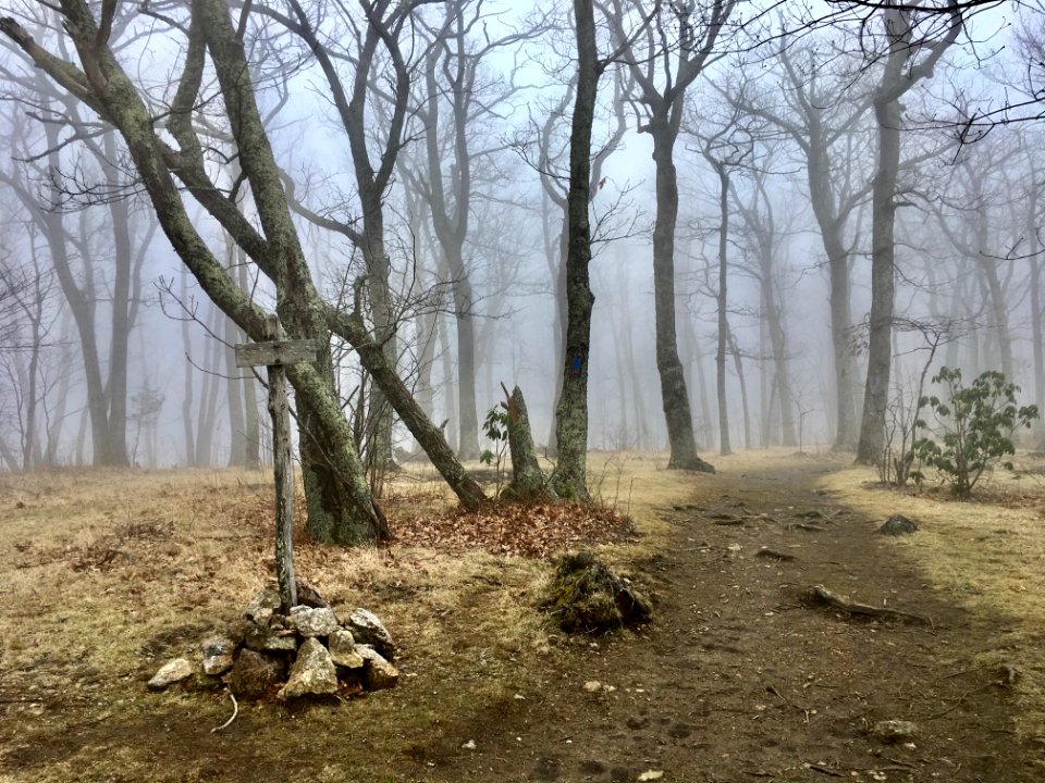 trail up to Spy Rock