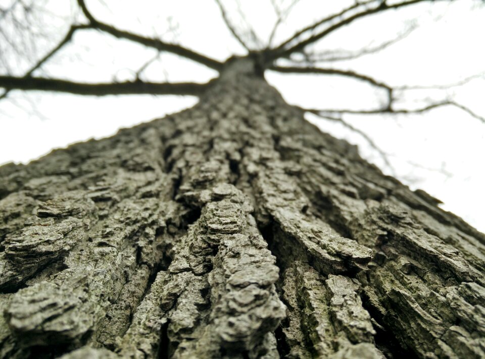 Natural material texture