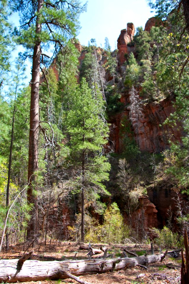 Secret Canyon Trail