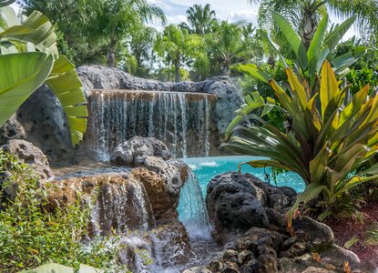 Resort nature landscape