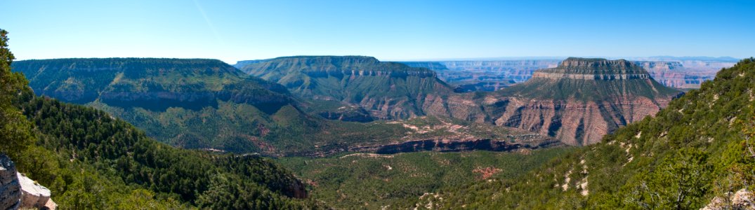 Grand Canyon North Rim photo